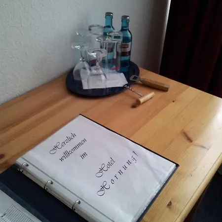 Hotell Weinheber Hornung Freinsheim